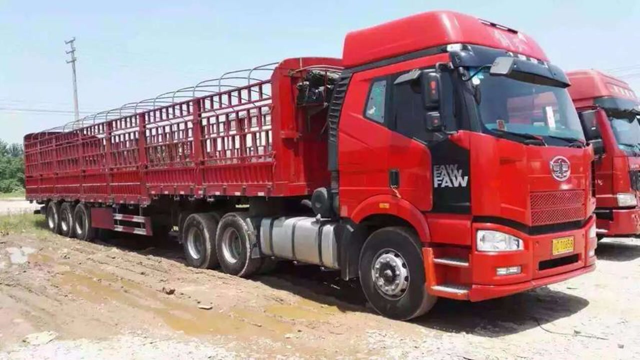 1726815529397137.jpg 083.jpg